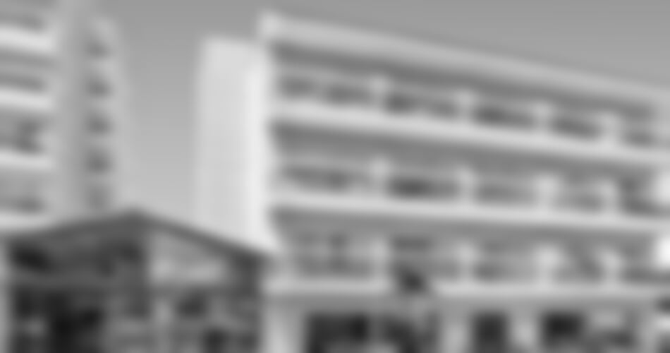 Hotel Alegria Maripins****