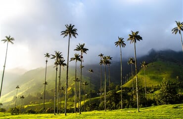 To nejlepší z Kolumbie + ÚDOLÍ COCORA + KOUPÁNÍ NA KARIBSKÉM POBŘEŽÍ