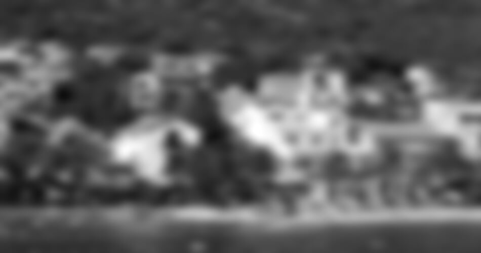 Gradac - Irena vila **