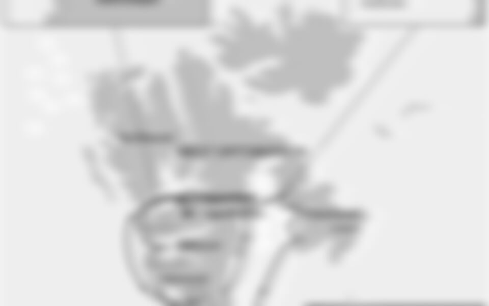 East Spitsbergen, Home of the Polar Bear - Summer Solstice (m/v Plancius)