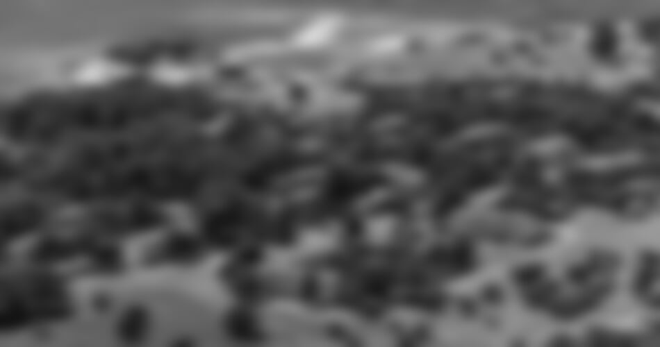 Umag - Polynesia Plava Laguna apartmány ***