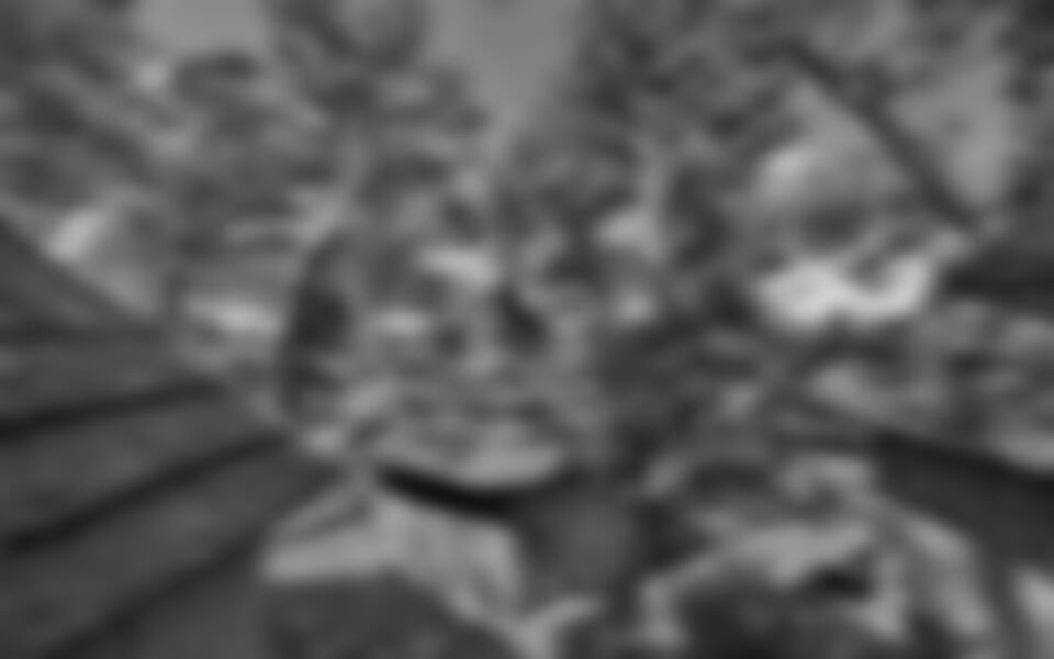 Pakoštane - Pine Beach Pakoštane ***