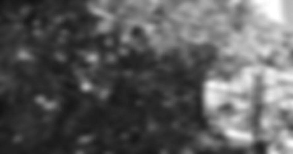 Orebič (Pelješac) - Jele vila ***