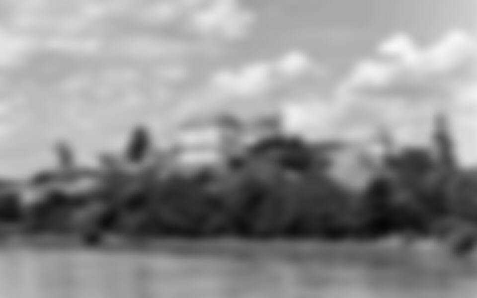 Slovinsko – Ptuj, Ráj Orchidejí, Wellness Vivat Terme