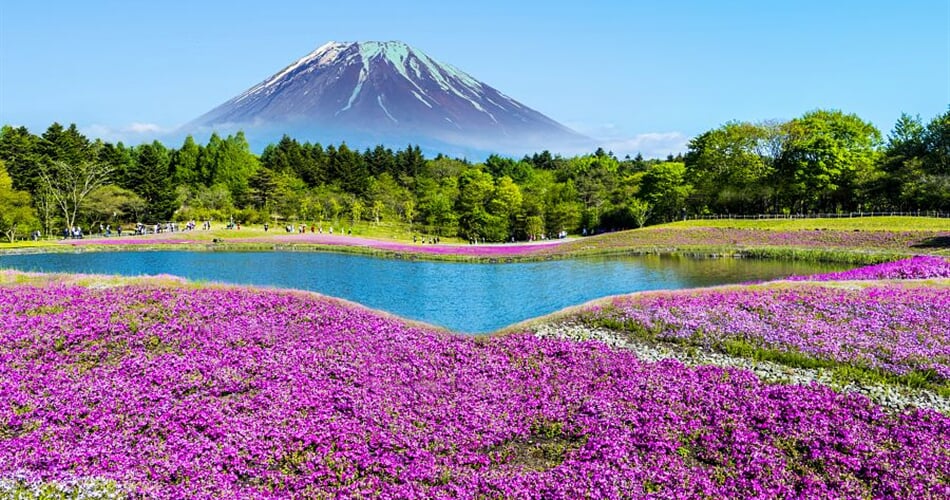 Foto - To nejlepší z Japonska + KVĚTINOVÝ FESTIVAL U HORY FUDŽI