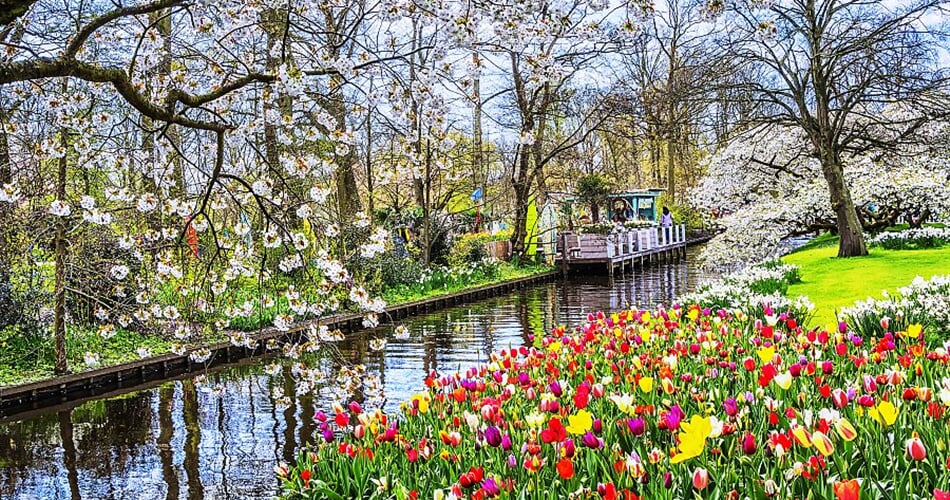 Foto - To nejlepší z Amsterdamu + KVĚTINOVÁ ZAHRADA KEUKENHOF