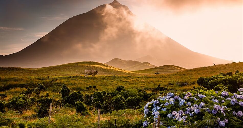 Foto - To nejlepší z Azorských ostrovů + KOUPÁNÍ V LÁVOVÝCH JEZÍRKÁCH