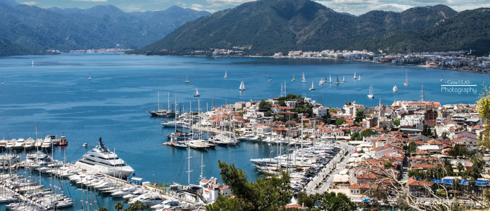 pexels ceti n ulas 230044 731213