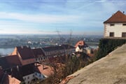 Ptuj 014