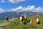Kitzbühelské Alpy - zájezd s pohodovou turistikou lanovkami
