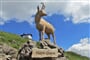 Kitzbühelské Alpy - zájezd s pohodovou turistikou lanovkami