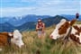 Pohodová turistika v Rakousku - zájezdy do Kitzbuhelských Alp