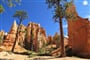 Národní park Bryce Canyon 2