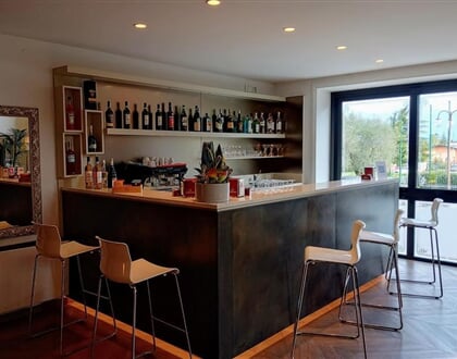 Hotel Villa Maria, Desenzano del Garda (6)