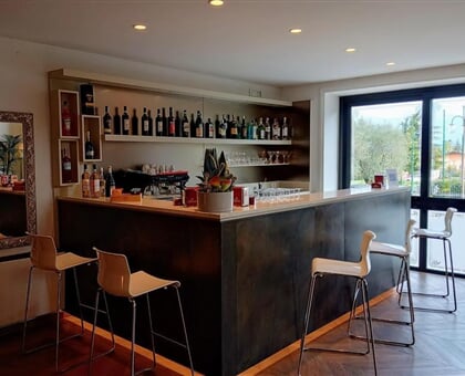 Hotel Villa Maria, Desenzano del Garda (6)