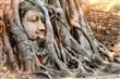Ayutthaya Buddha Head statue with trapped in Bodhi Tree roots at Wat Maha That (Ayutthaya). Ayutthaya historical park Thailand. Vintage effect._shutterstock_683138305