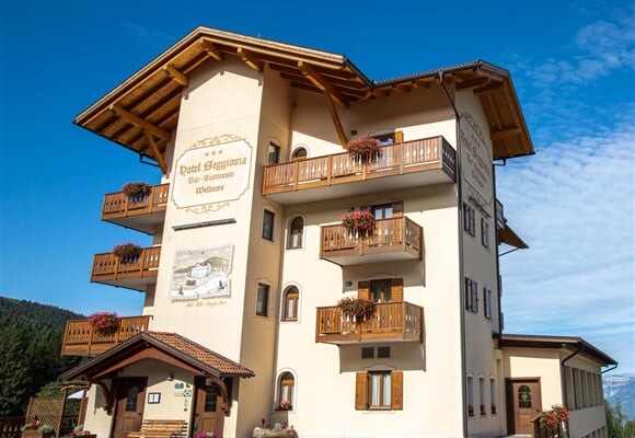 Hotel Seggiovia ***S - Francolini di Folgaria