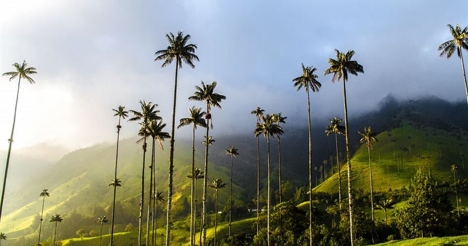 Foto - To nejlepší z Kolumbie + ÚDOLÍ COCORA + KOUPÁNÍ NA KARIBSKÉM POBŘEŽÍ