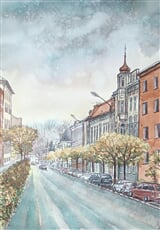 Český Těšín, Střelniční ulice