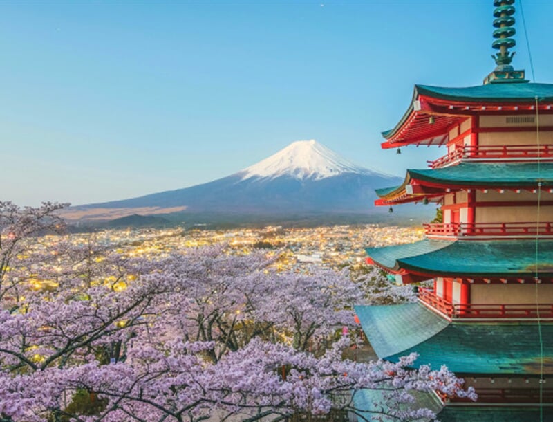 pexels nguyen khac tien 252426281 12544861