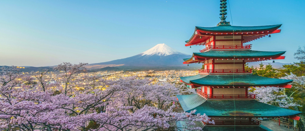 pexels nguyen khac tien 252426281 12544861