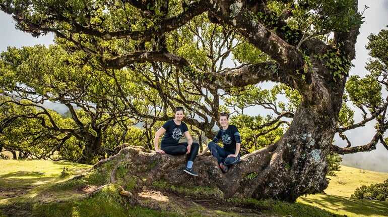 Foto - To nejlepší z Madeiry + OSTROVNÍ GASTRONOMIE + VÝLETNÍ PLAVBA NA PORTO SANTO