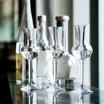 connie perez hCKppMX5rcU unsplash