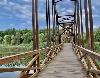 Freya zalakaros 4163 035