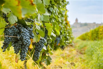 To nejlepší z Arménie + JEZERO SEVAN + TAJEMSTVÍ VÝROBY VÍNA A DEGUSTACE