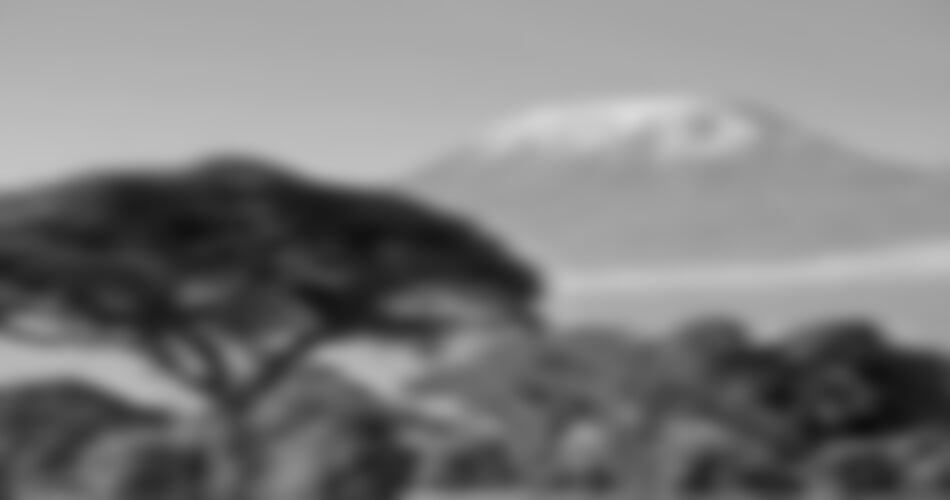 Kilimandžáro - Kilimandžáro - výstup Machame