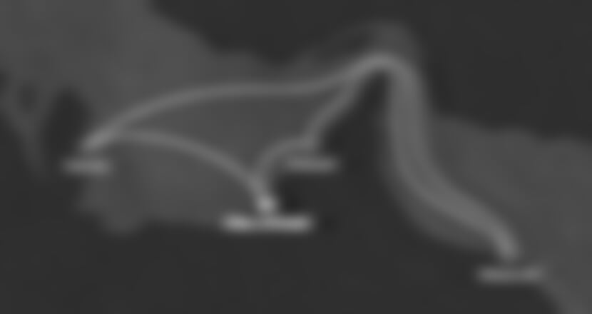 Costa Toscana - Arabské emiráty, Omán, Katar (z Abú Dhabí)