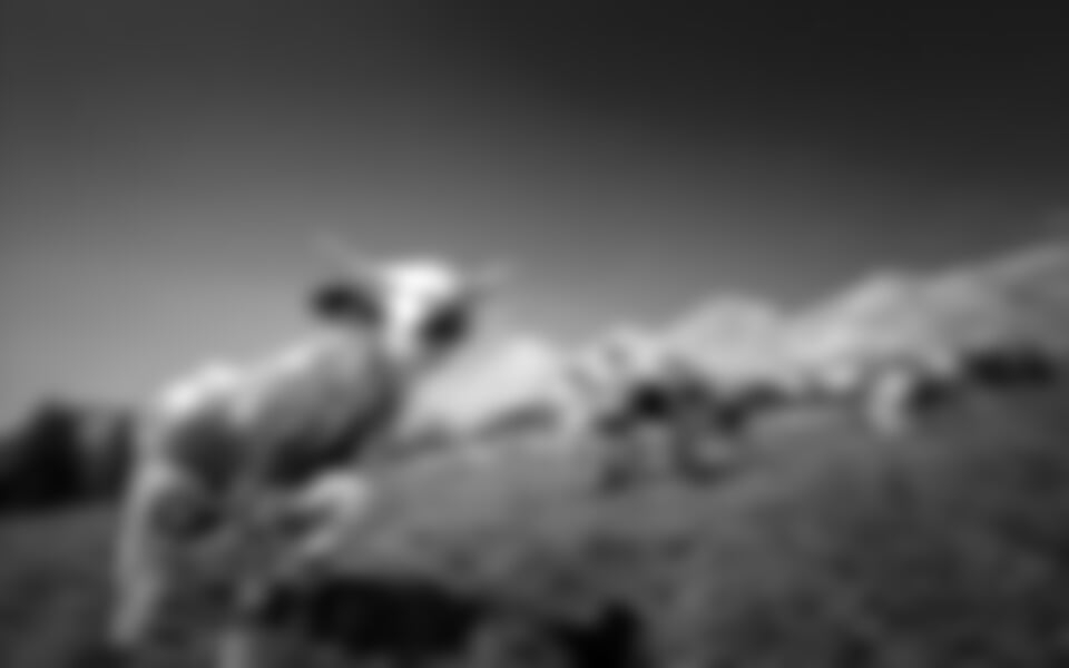 Schladming - Dachstein - Dachsteinská bomba pro seniory