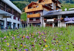 Rezidence 3MILA - Pejo Terme