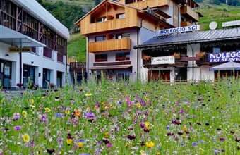 Rezidence 3MILA - Pejo Terme