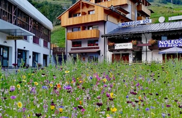 Rezidence 3MILA - Pejo Terme