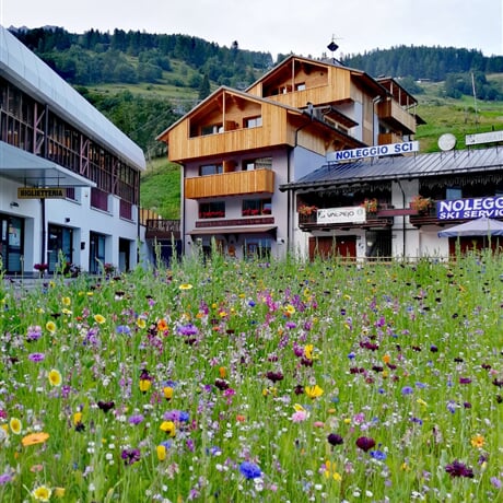 Rezidence 3MILA - Pejo Terme