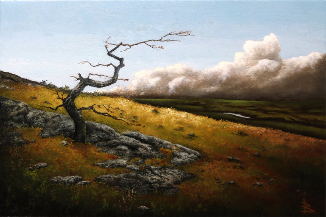 Deˇla´ se vi´tr 40x60 2024