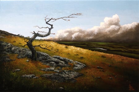 Deˇla´ se vi´tr 40x60 2024