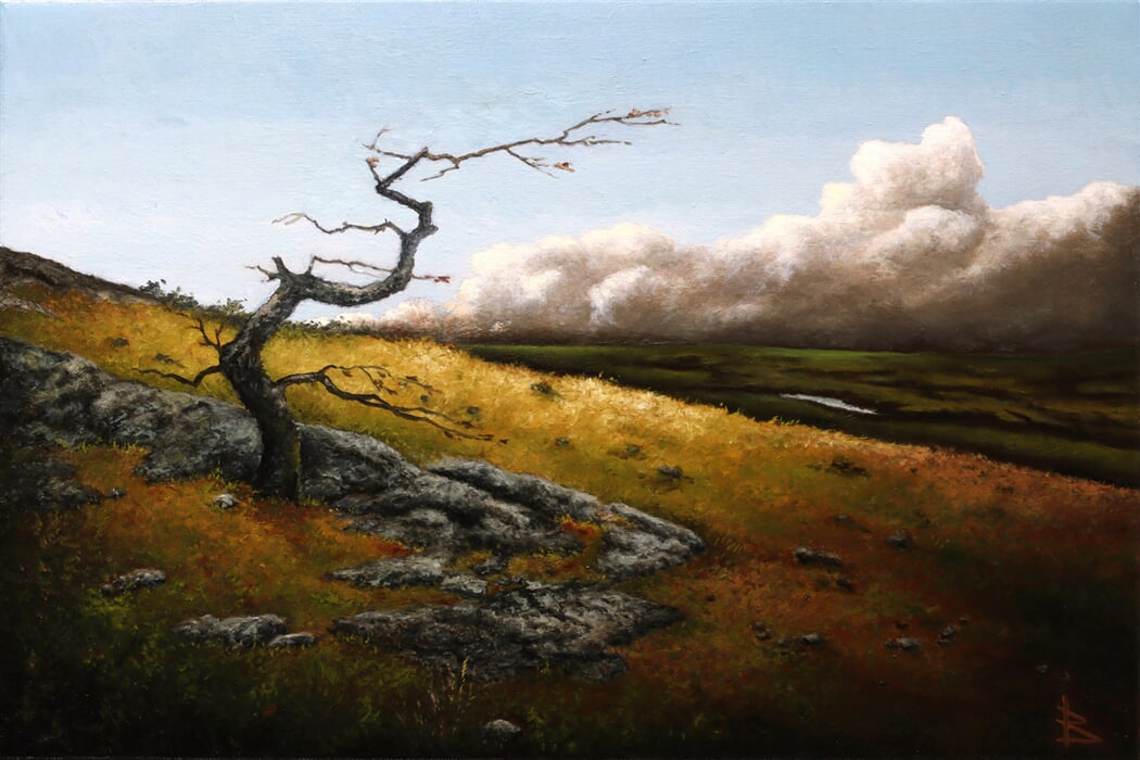 Deˇla´ se vi´tr 40x60 2024