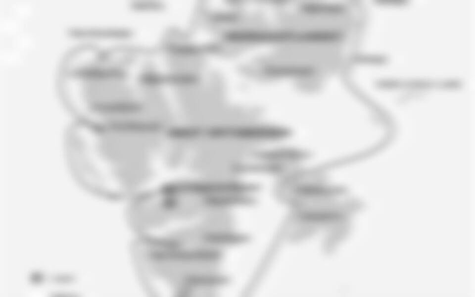 Around Spitsbergen - Kvitoya, In the realm of Polar Bear & Ice (m/v Hondius)