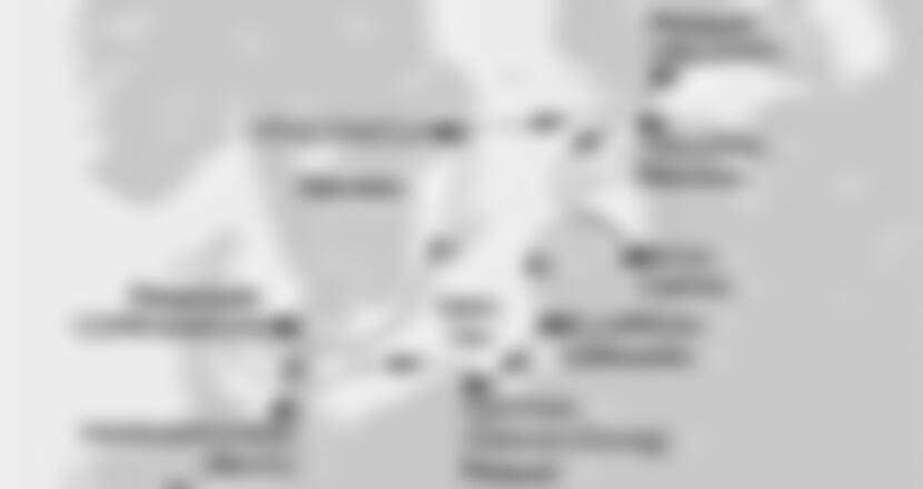 MSC Magnifica - Dánsko, Německo, Polsko, Litva, Lotyšsko, ... (z Kodaně)