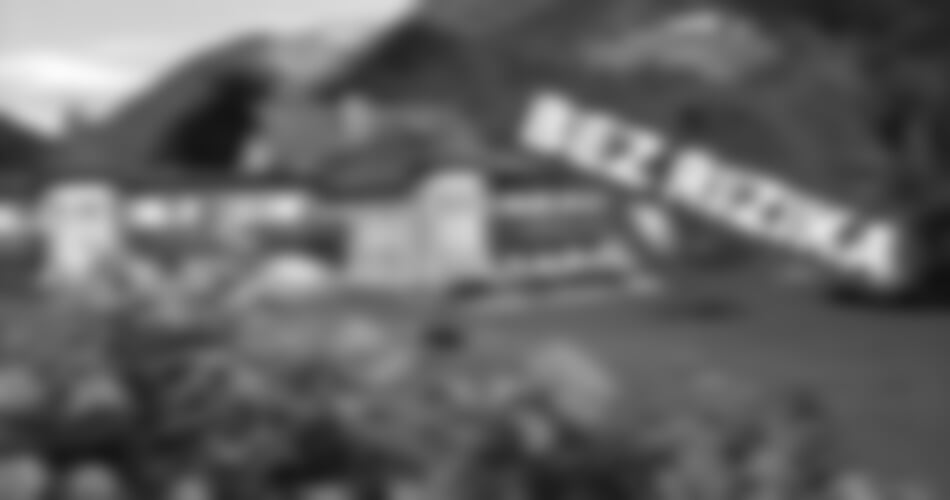 Mostviertel - Gasthof Waldesruh v Göstling an der Ybbs ***