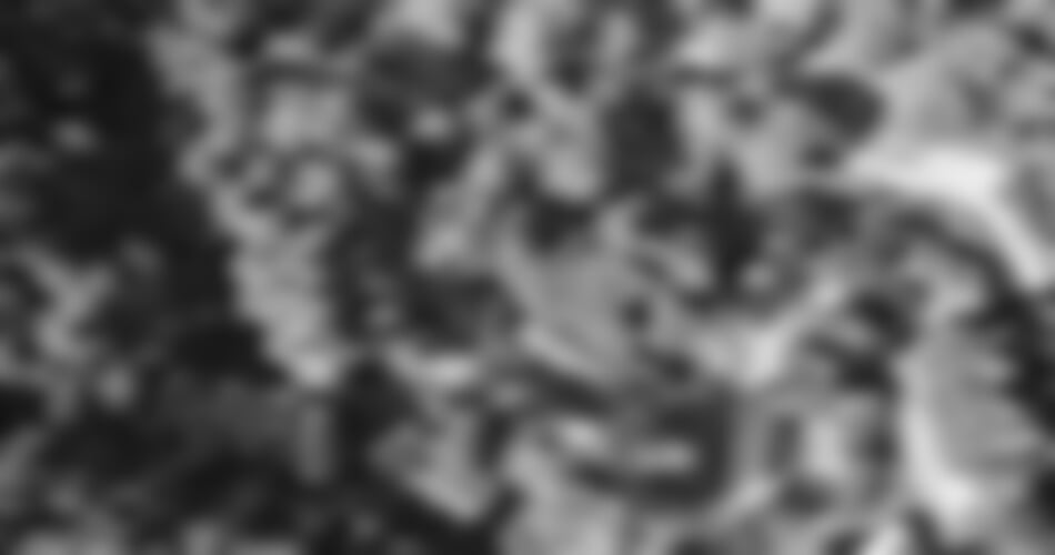 Apartments Kanegra Plava Laguna