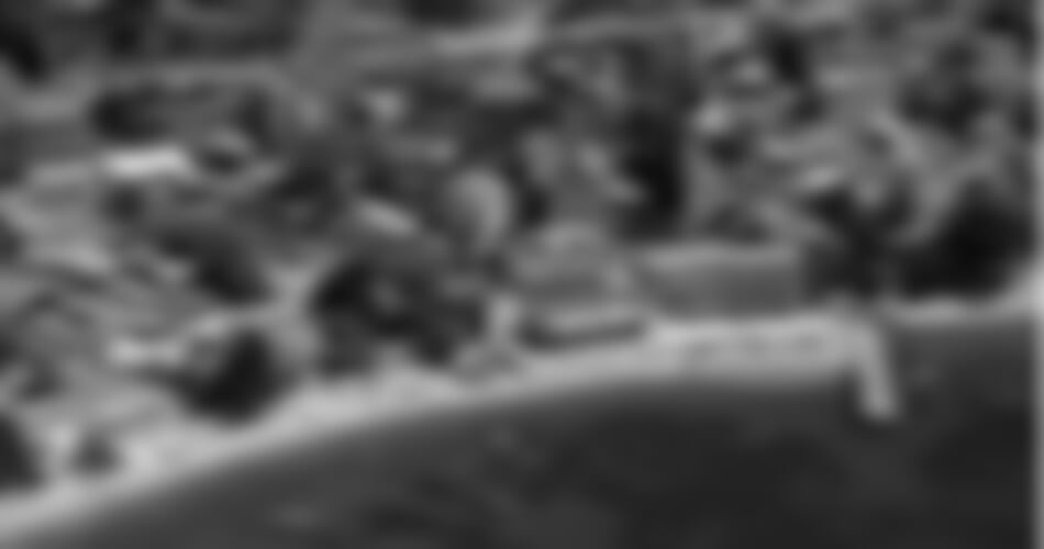 Brist - Ruža vila **