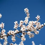 katlyn boone sRt3zQzLLKg unsplash