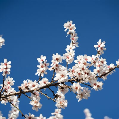 katlyn boone sRt3zQzLLKg unsplash