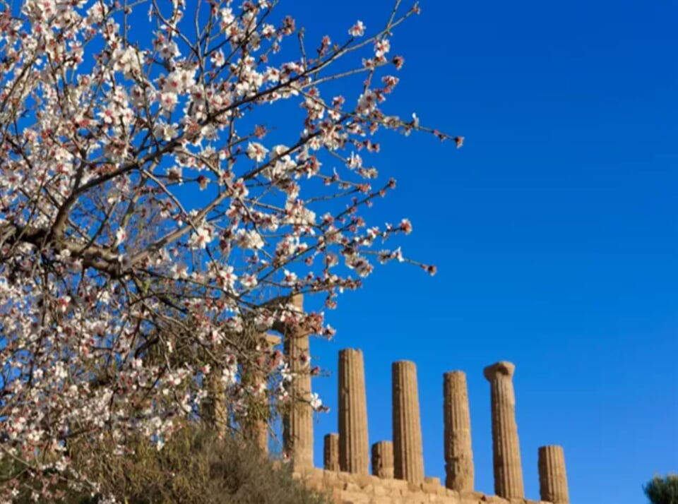 Snímek obrazovky 2026 02 05 090549