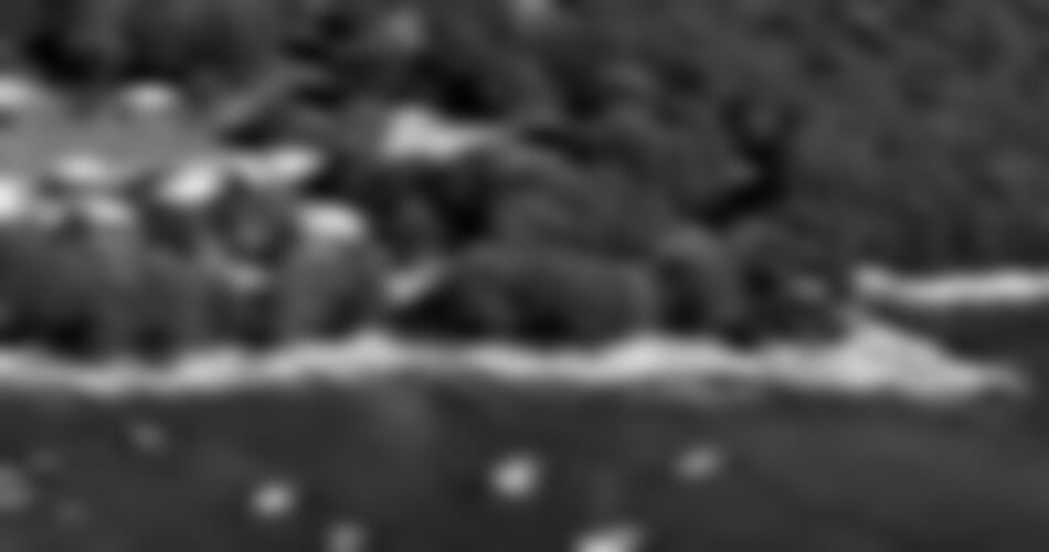 Vrsar - Koversada Park Camping Resort – apartmány (naturistická část) ****