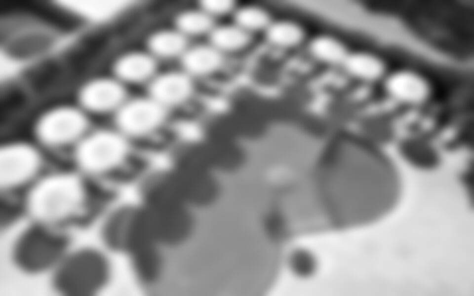 Slunečné pobřeží - Hotel Aktinia