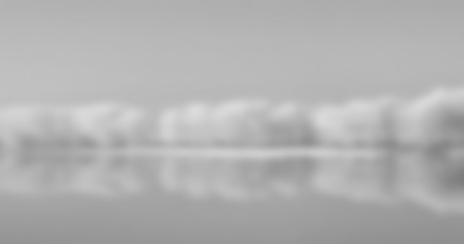 PREMIUM - Vánoční sen na Dunaji (Flora)